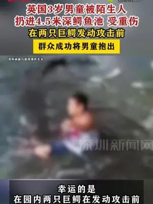 英国3岁男童被陌生人扔进鳄鱼池