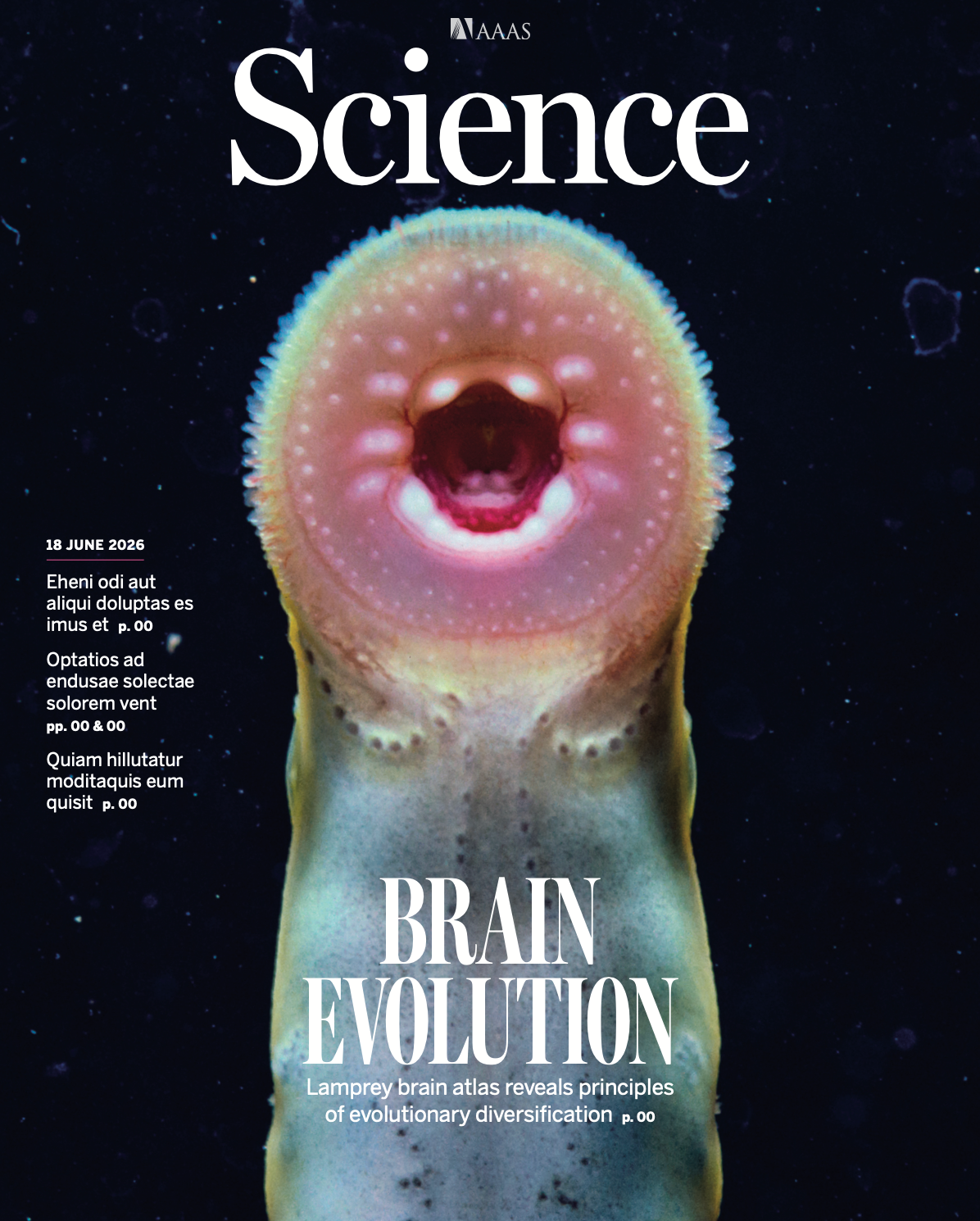 Science封面！华大等机构联合揭示：我们的脑部设计图，在5亿年前就打好了草稿
