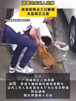 广州一粉面店员工大厅当众宰杀野猫 ，遭曝光后无人光顾