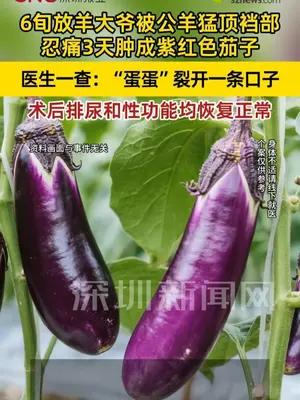 6旬放羊大爷被公羊顶裆下体肿成紫茄子