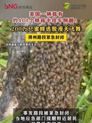 美国一辆载有约400个蜂箱半挂车侧翻  200万只蜜蜂逃脱漫天飞舞