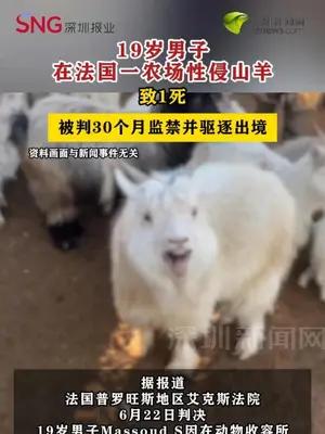 19岁男子在法国一农场性侵山羊致1死 