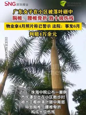 女子小区散步被落叶砸成十级伤残，起诉物业获赔4万元