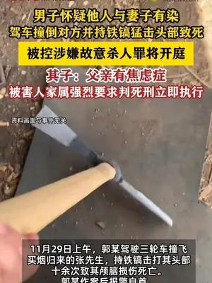 男子怀疑他人与妻子有染，驾车冲撞铁镐击打他人致死