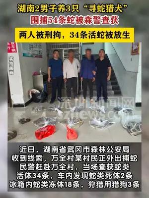 2男子用猎狗捕蛇被刑拘，34条活蛇回归山林
