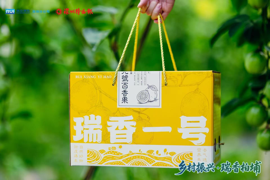 瑞众第三届丰收节来了 “瑞香一号”百香果首次挂果丰收