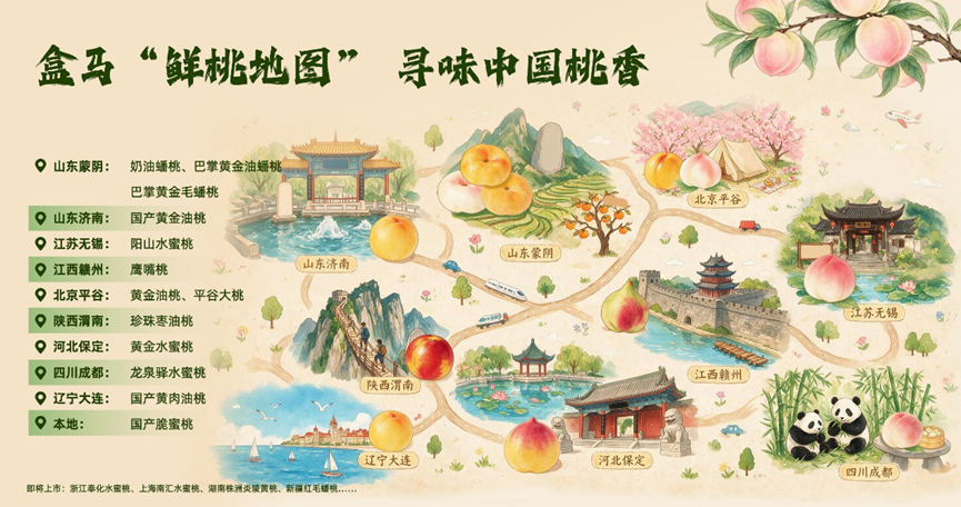 全国好桃“南下”广东，盒马鲜生一站尝遍八省鲜桃