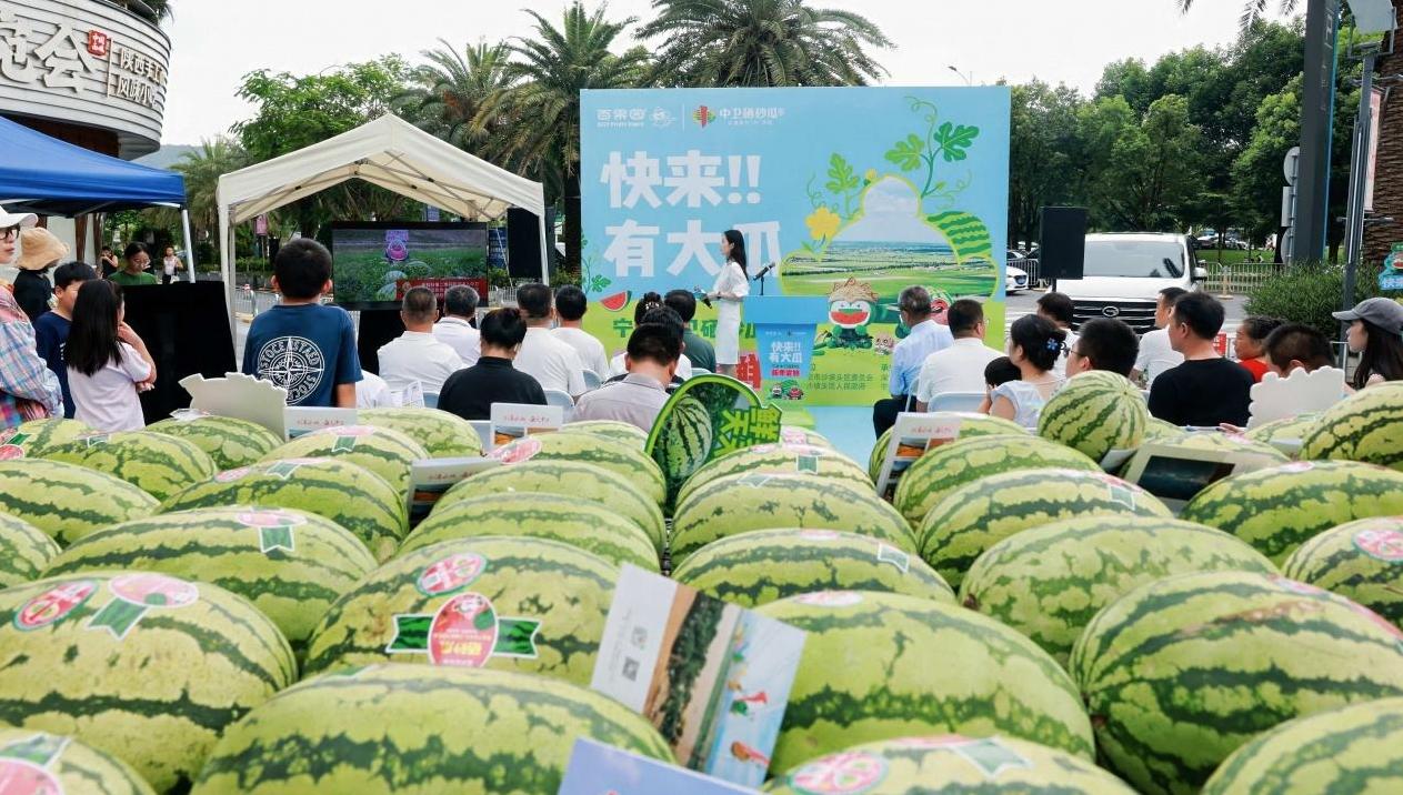 百果园携中卫硒砂瓜再进深圳，产销合作延续“甜蜜缘分”