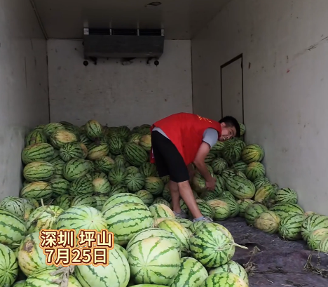 15吨河南西瓜滞销 坪山一社区书记助农卖瓜 一元一斤 台风前顺利售罄