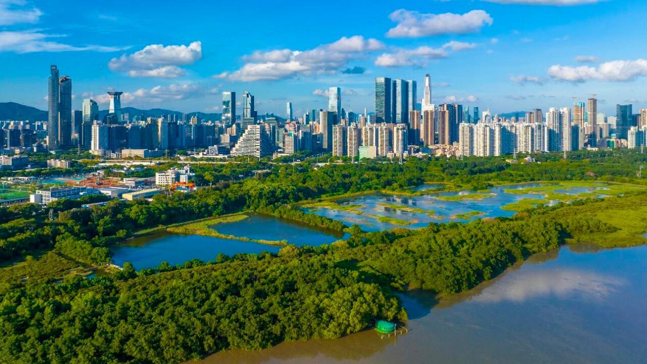 深港两地共建大湾区植物园启动仪式在深圳举行