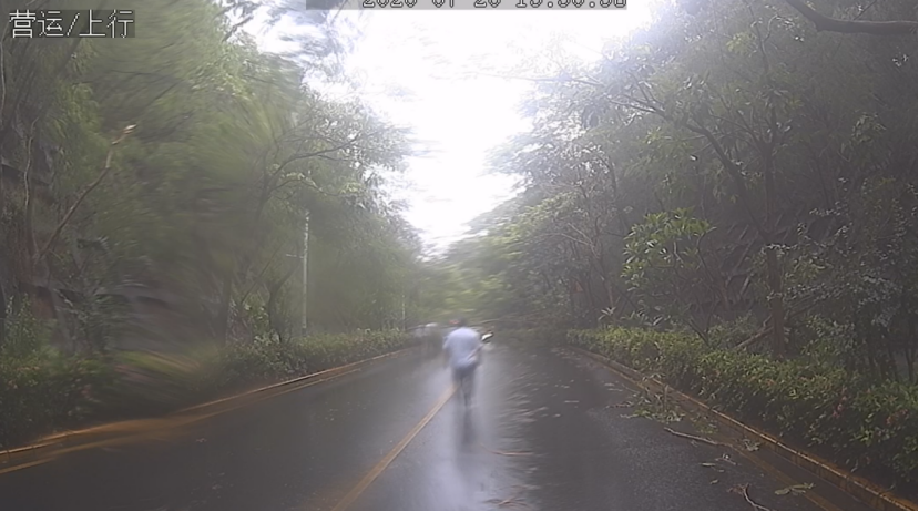 B611线公交司机台风天路遇树木倒伏，及时处置保障通行