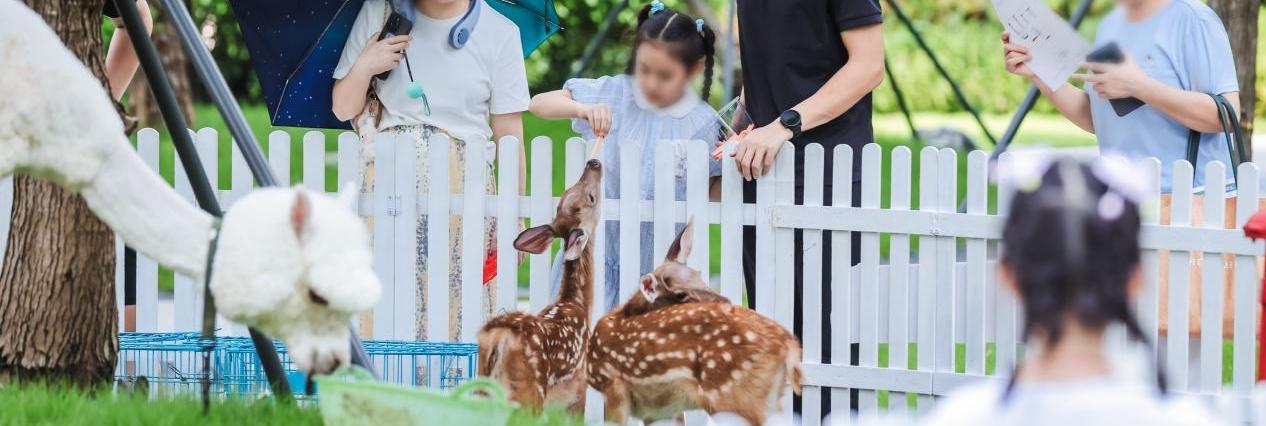 在森系园林遇见理想生活，深铁珑境·云赋全新样板房开放