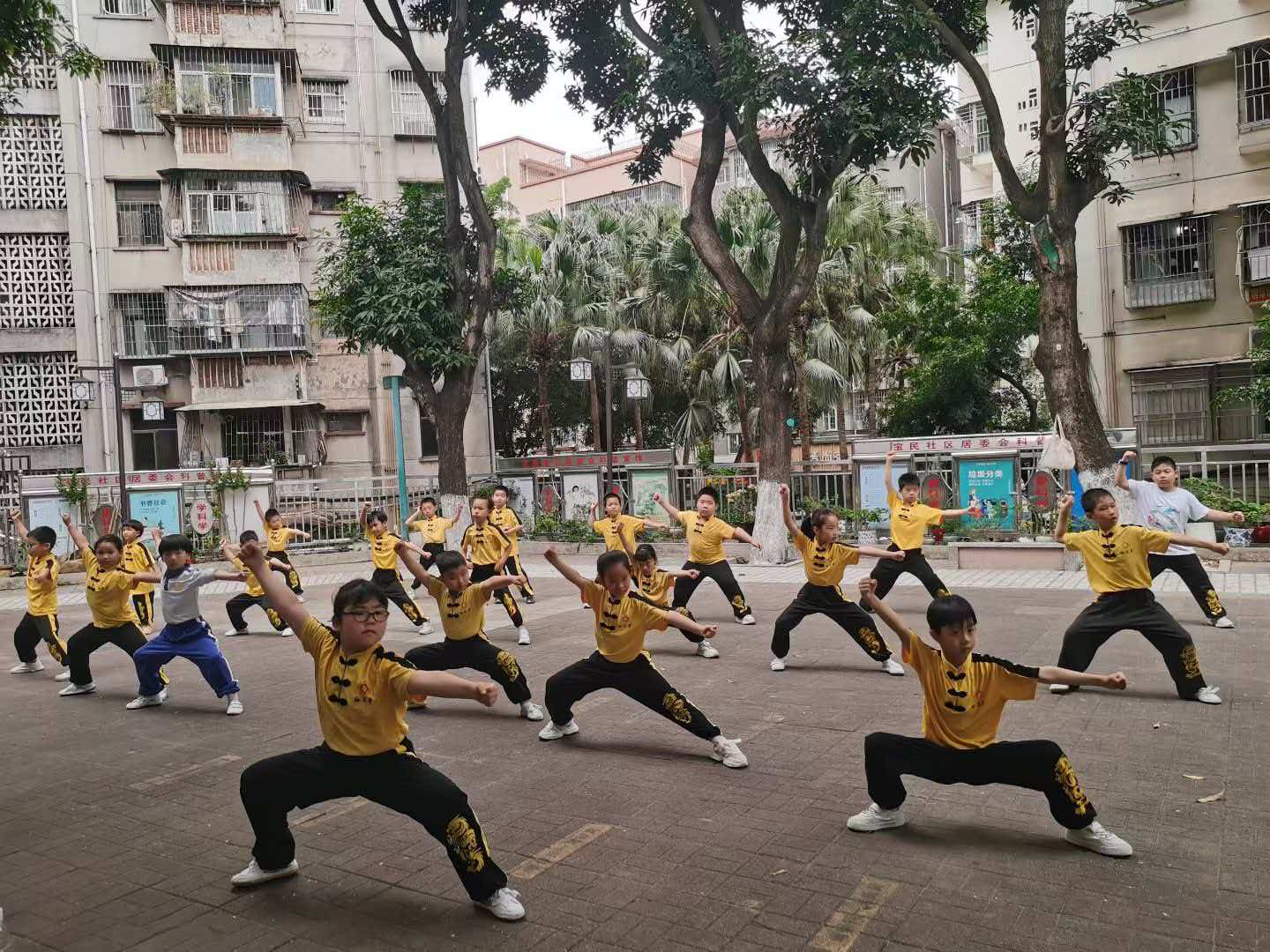 梅花拳.jpeg 梅花拳.jpeg