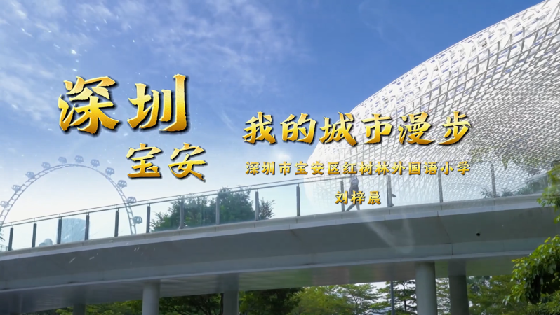 少年看深圳㉞｜深圳市宝安区红树林外国语小学刘梓晨：《我的城市漫步》