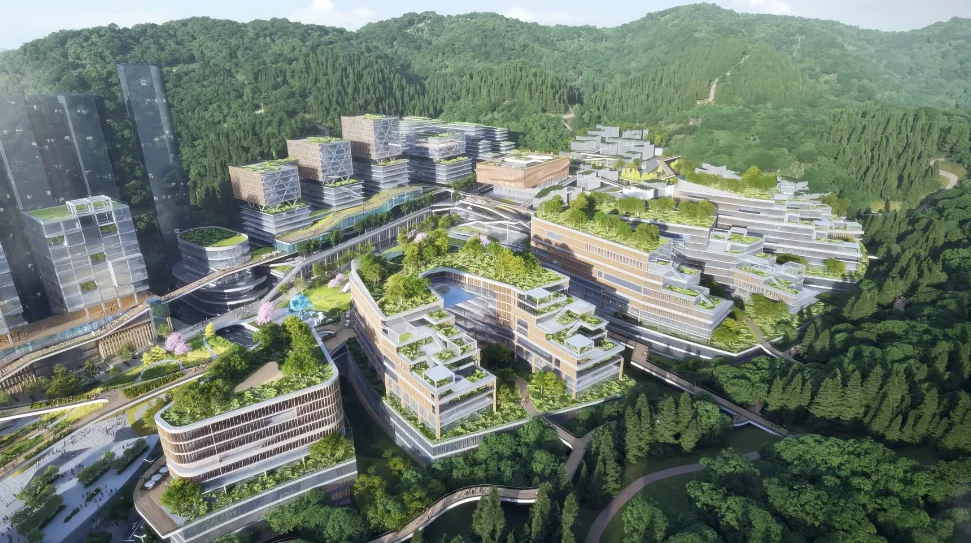 深圳罗湖入选省级美丽县城典型案例：“一半山水一半城”，生态红利变民生福利