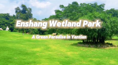 少年看深圳（57）|深圳市盐田区外国语小学何雨臻：《Enshang Wetland Park - A Green Paradise in Shenzhen》