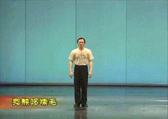 全网跟跳!“闪身步”和“狗熊哆嗦毛”到底啥来头?(图1)
