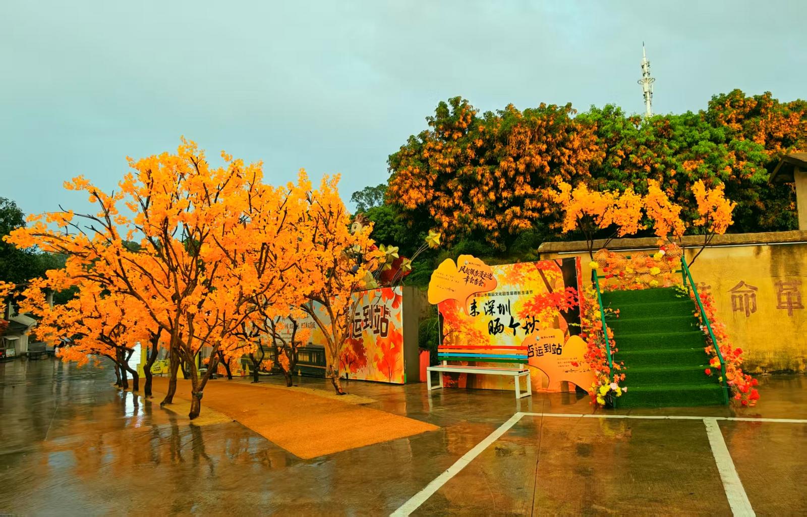 9b4d562d4ed855fe20b6a1805abadc21.jpg