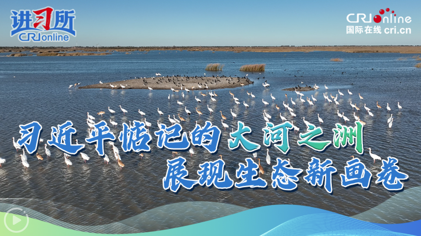 习近平惦记的大河之洲展现生态新画卷