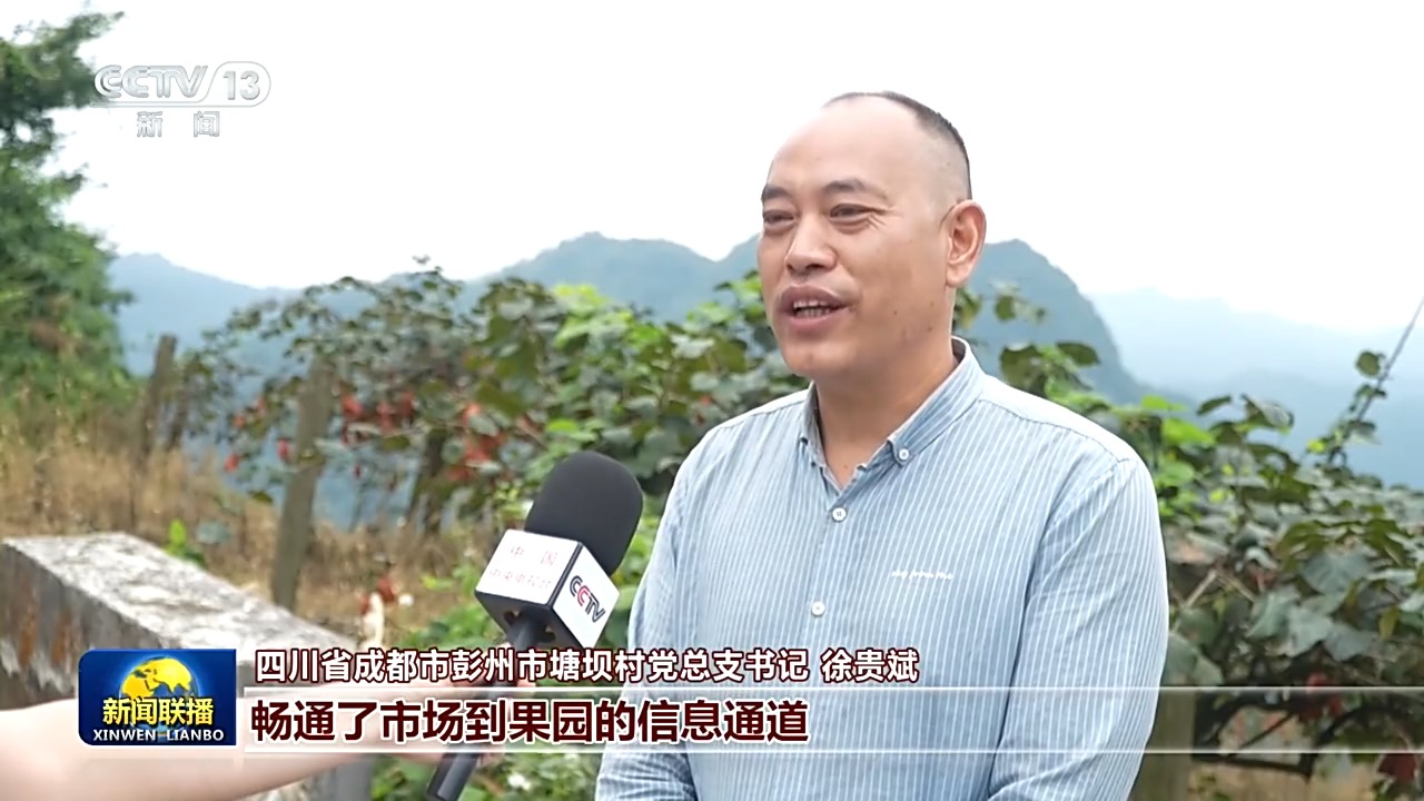 从运得走到卖得好物流网保障国民经济循环畅通(图7)