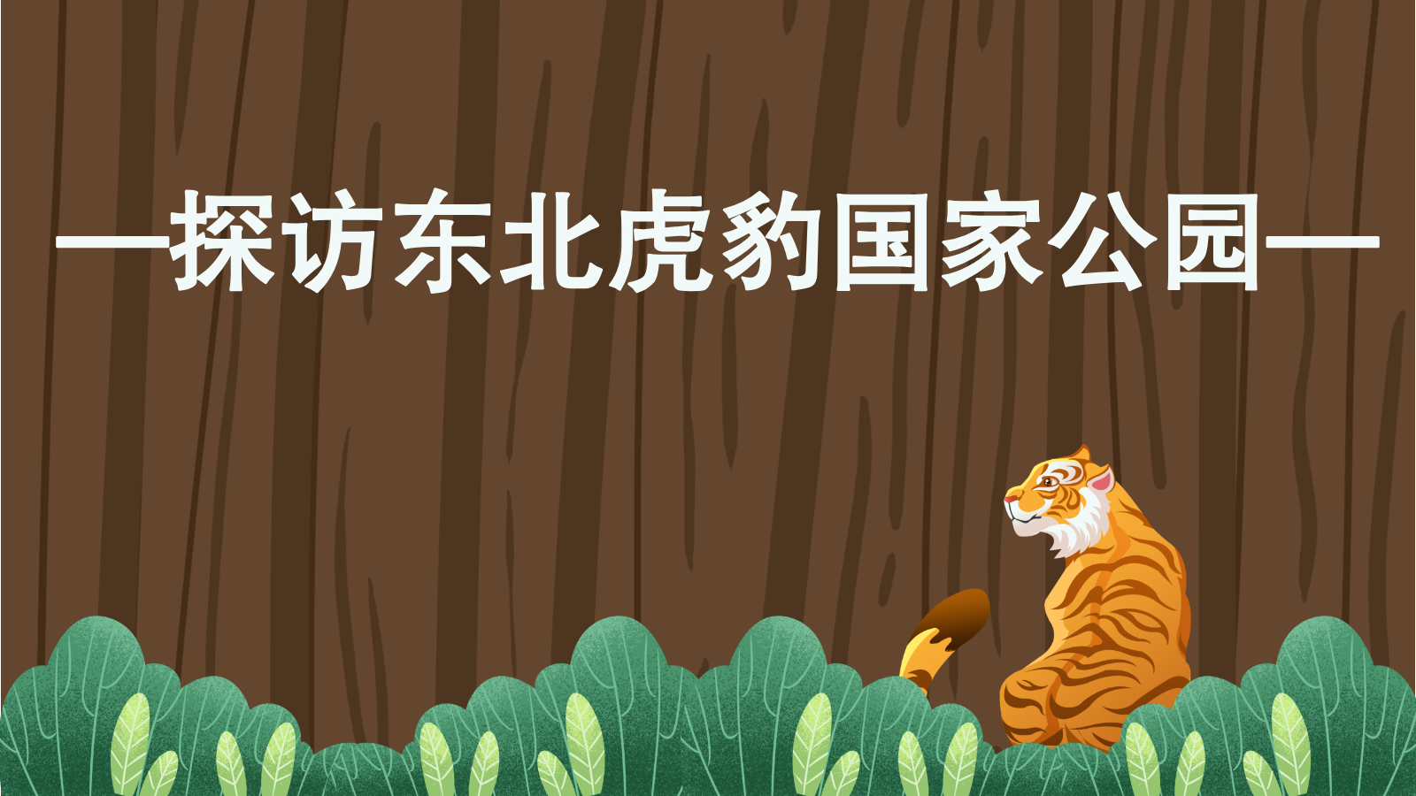 探访东北虎豹国家公园