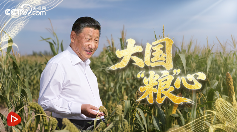 微视频丨大国“粮”心